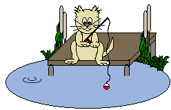 Cat Fishing