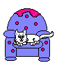 Chair Kitty