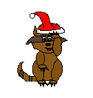 Racoon