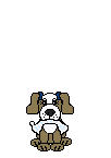 Puppy