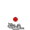 Kitty Ball