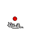 Kitty Ball