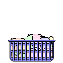 Laundry Cat