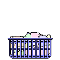 Laundry Cat